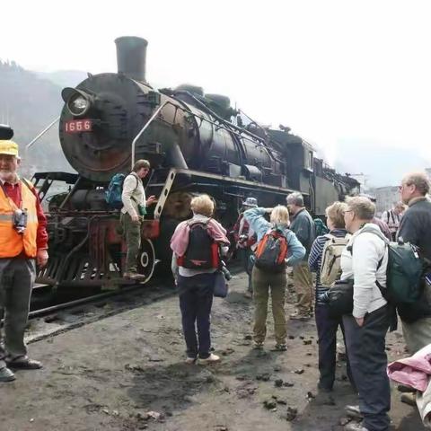 松藻记忆（7)：坐着火车去数星星