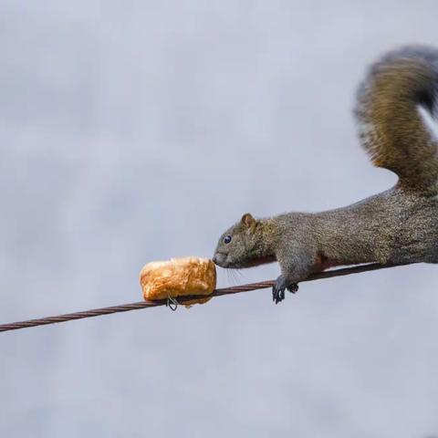 视觉观察：小伙伴为您解“疫”愁