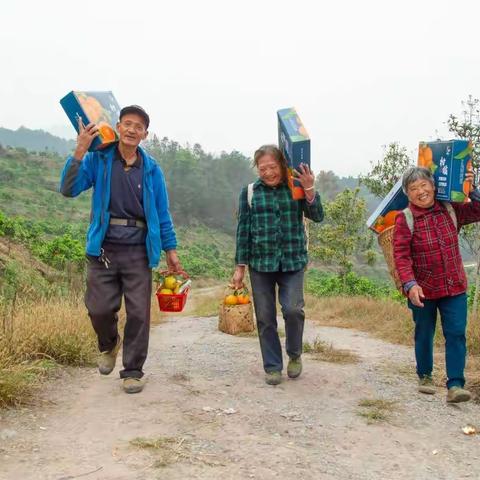 图纪村说(1)：“产业下乡”助力山沟沟文化增色