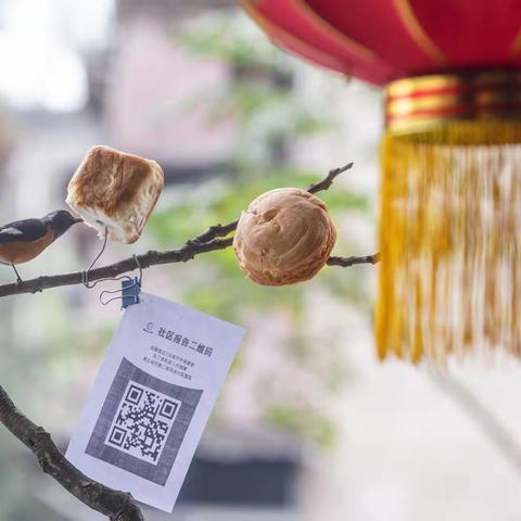 视觉观察：“疫”在家中给鸟儿准备“三餐”