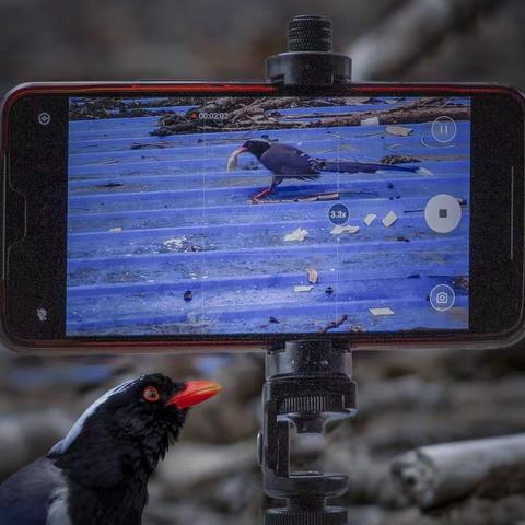 视觉观察：“您在拍谁呢？”是我吗？