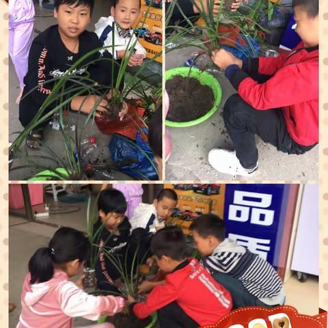 阳光少年辅导班17年秋游