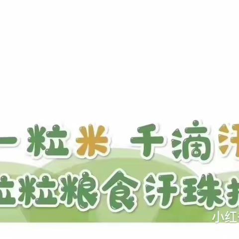 银丰幼儿园中四班《节粮、节水、节电》主题教育活动