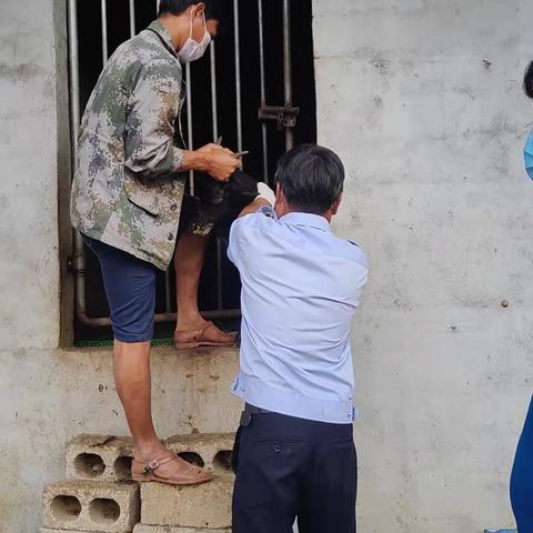 2020年2月26日防治员到陀头村开展防疫工作