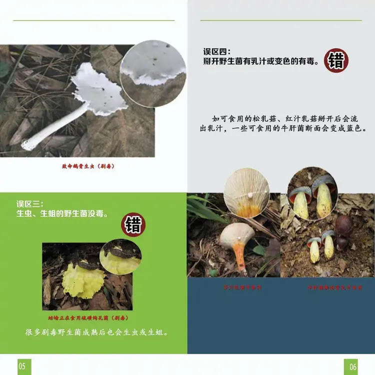 6,【秋日小圆帽】