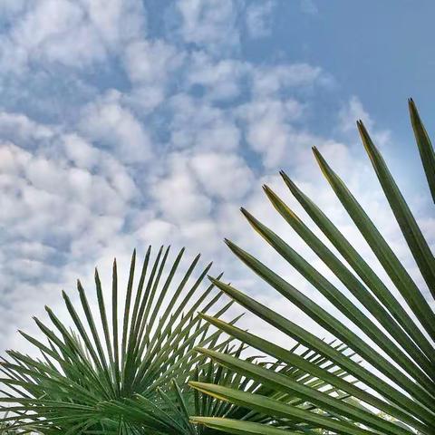 送教驼人暖人心，教研指导促提升——“送课下乡”活动走进驼人小学