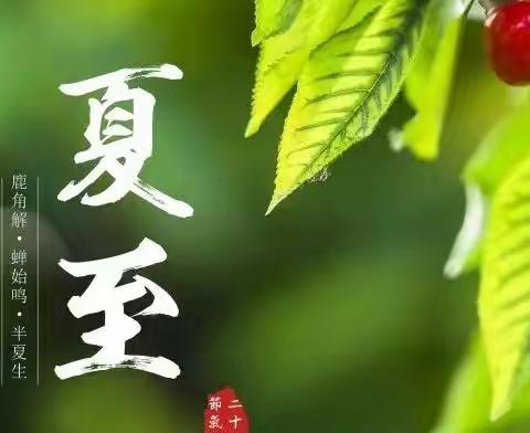 夏至将至 | 心有清宁静，但惜夏日长