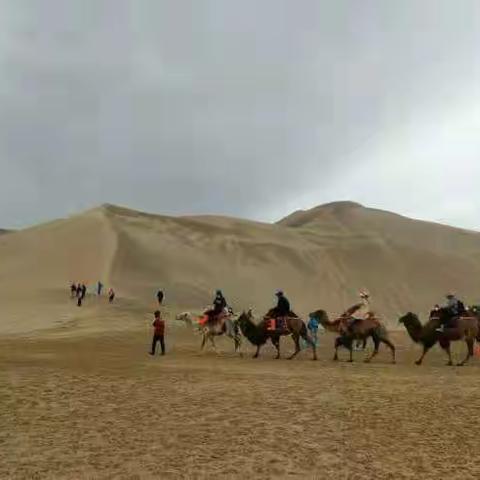 游鸣沙山   刘海明