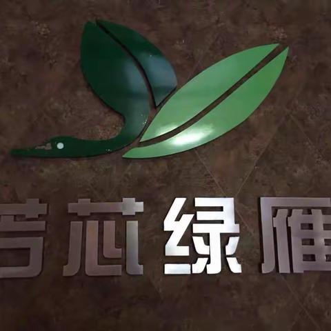 品雁荡山毛峰绿茶🍵【芳芯绿雁】·休养【雁云居民宿】