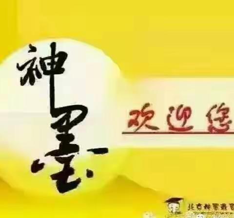 北京神墨 志展餐辅 暑假班火热招生