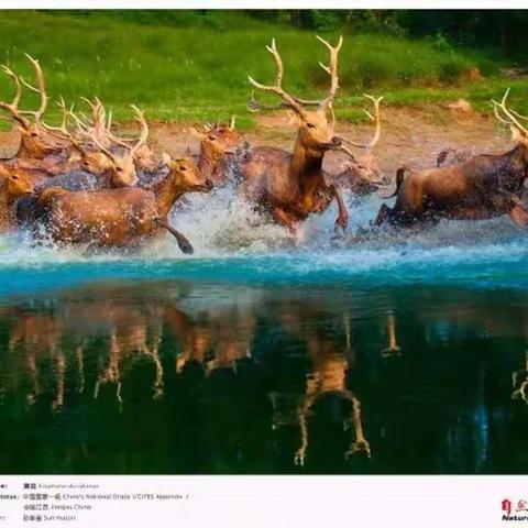 回眸2018|摄影，永远在路上…