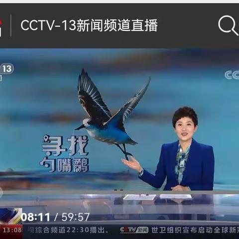 乖萌勺嘴鹬，期待再相见！