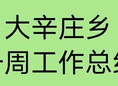 各尽其责    共同努力——大辛庄乡一周工作总结（7月12日—7月18日）