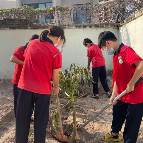 贡献力量    奉献绿色    收获希望                             ——三亚和平学校植树节活动