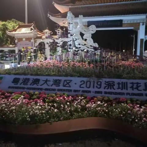 深圳花展