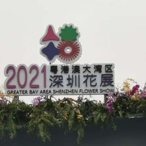 深圳花展