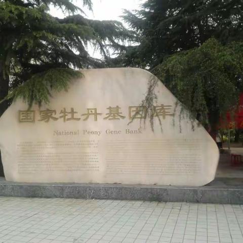 国家牡丹园