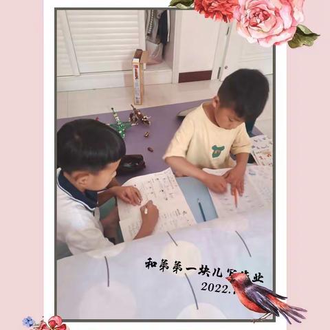 陕州区第二小学  二2班  杨嘉佑《我的快乐暑假》