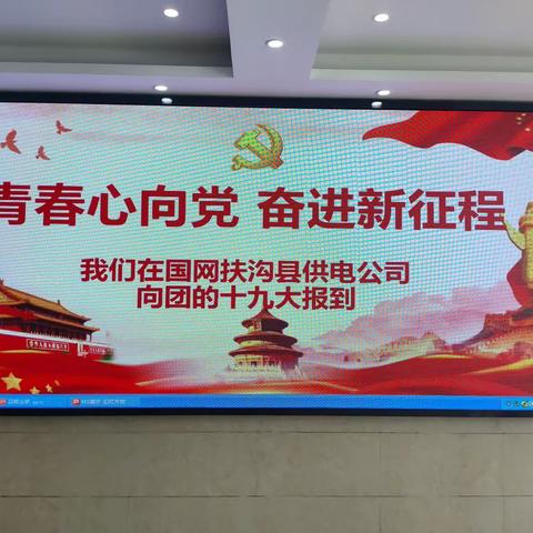 扶沟公司共青团，向团十九大报到