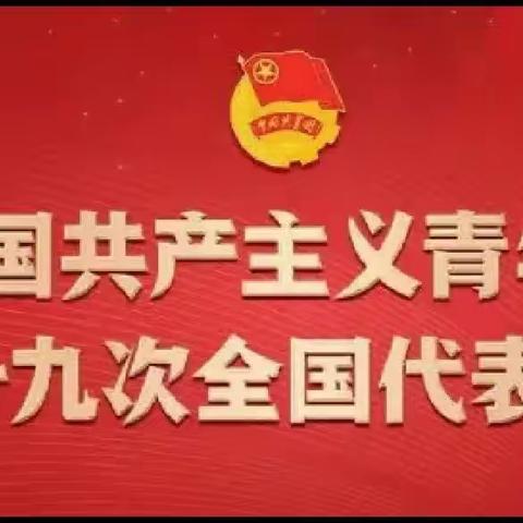 “青马”学员  热议团十九大报告