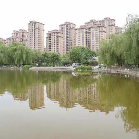 习作练习