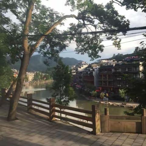 凤凰美