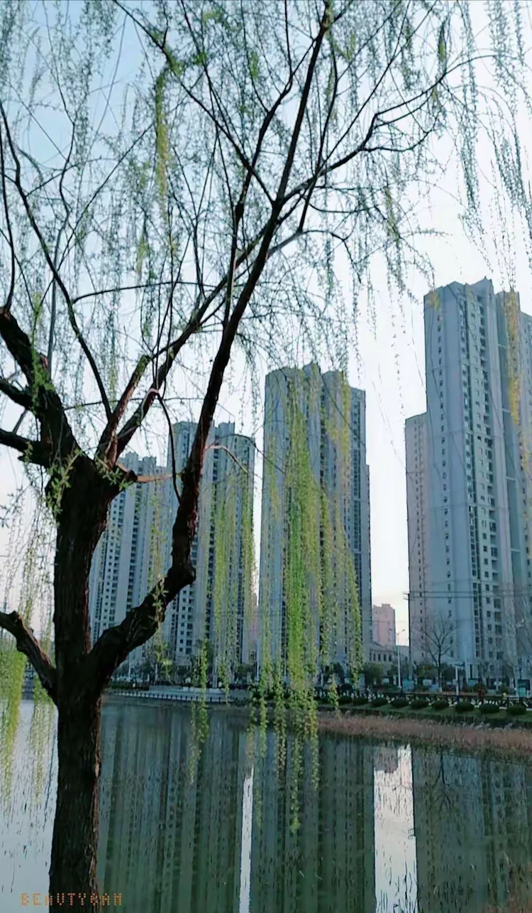暖暖的春天
