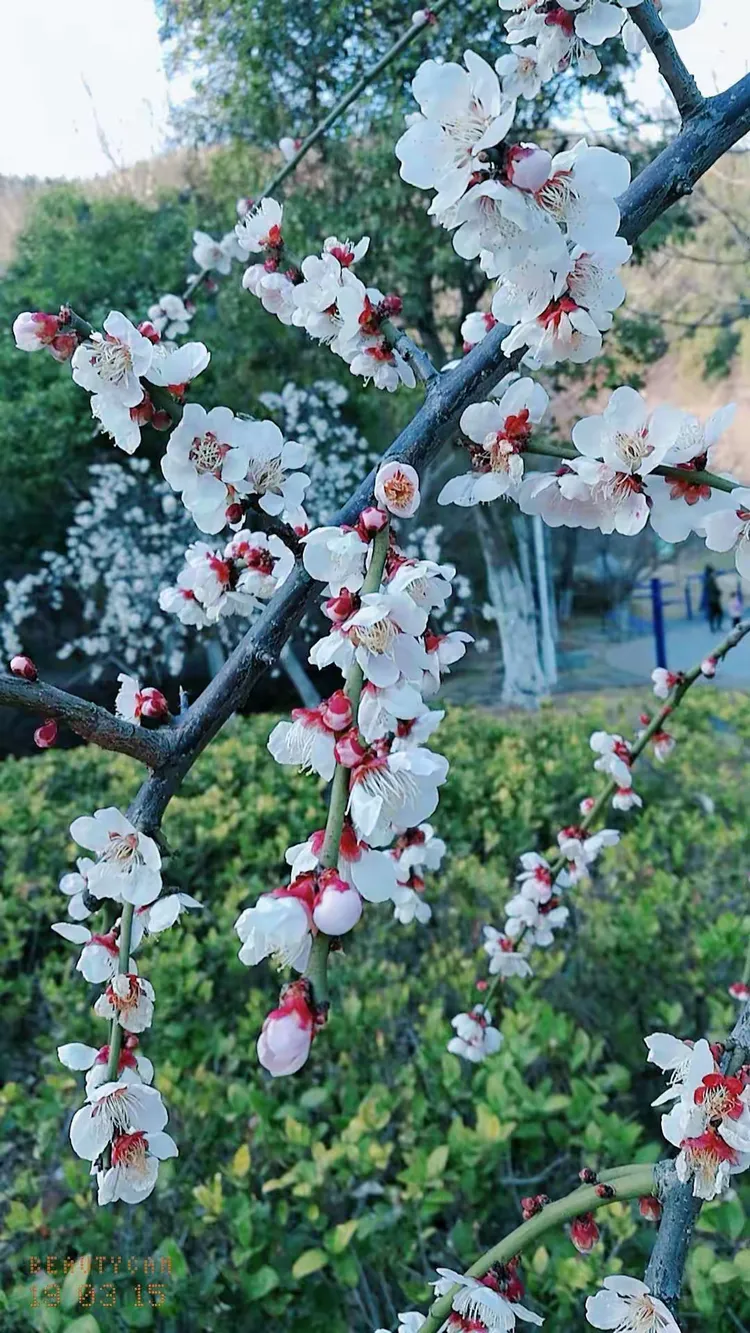 暖暖的春天