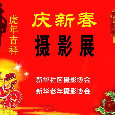 新华社区庆新春摄影展