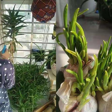 “童”心协力绎精彩，趣宅时光共成长——天中实验小学特色居家活动