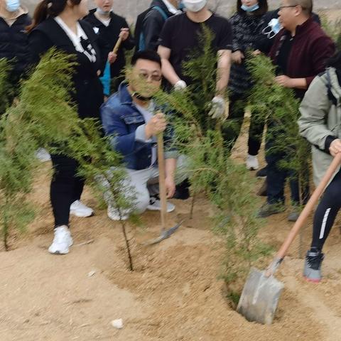 登封陈家閁—植树