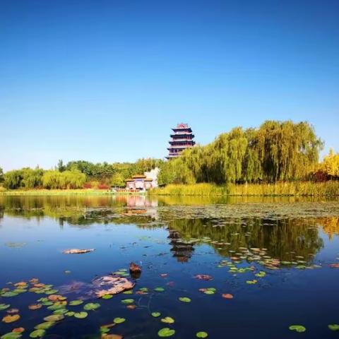佳韵教育尚川习作——游黄台山公园