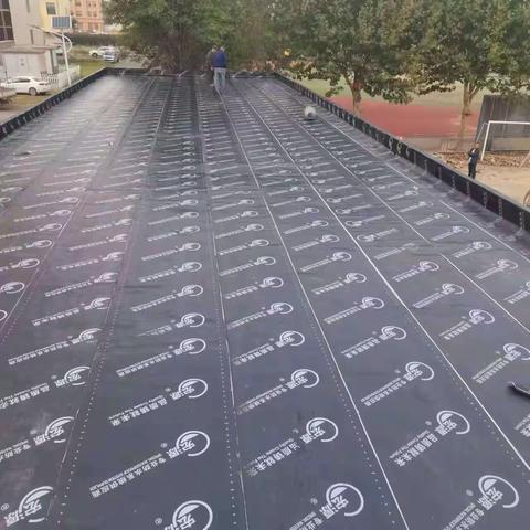 金禹2021辉煌印记