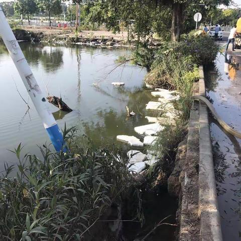 龙归街市政所7月14日工作日报