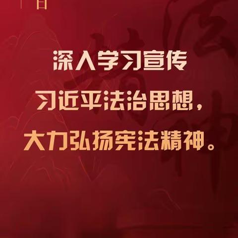 深入学习宣传习近平法治思想，大力弘扬宪法精神