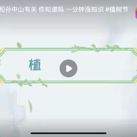 “十里春风，与绿色通行”🌿植树节主题活动--肥西师范幼教集团西溪湾幼儿园