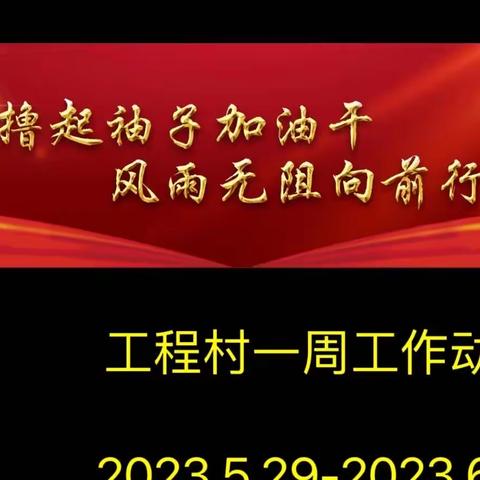 三陵乡工程村村委一周工作动态