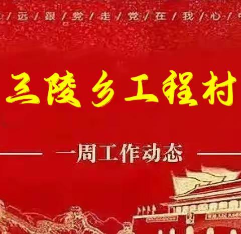丛台区三陵乡工程村一周工作记录
