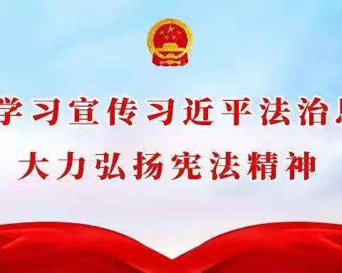 宪法学习进校园 雅畈学子展才能——雅畈初中开展宪法宣传周系列活动