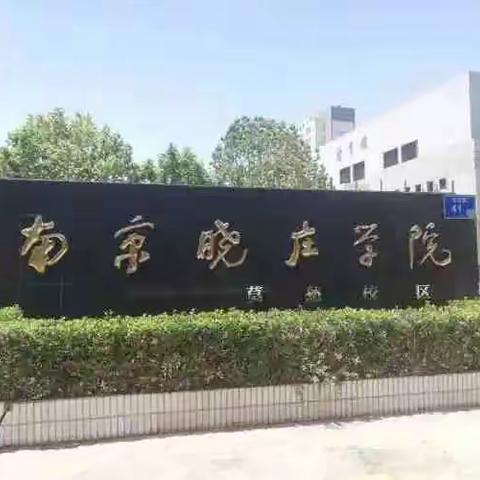 怀阳光心态，寻发展之道﻿