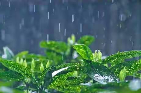齐心聚力育新人，                                 雨天教研不打烊