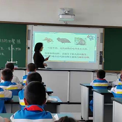 精河县八家户农场小学集团校青年教师科学课堂比武