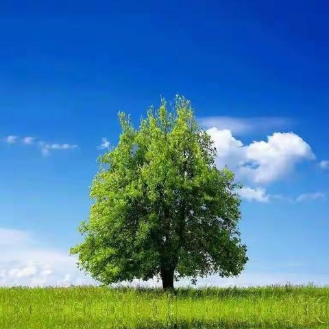 走进自然   拥抱春天  ——文行教育“和悦”女子沙龙迎新春活动启事