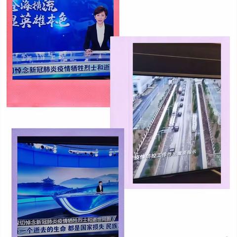 致英烈——实验小学四年级十一班疫情期间清明节祭英烈记录