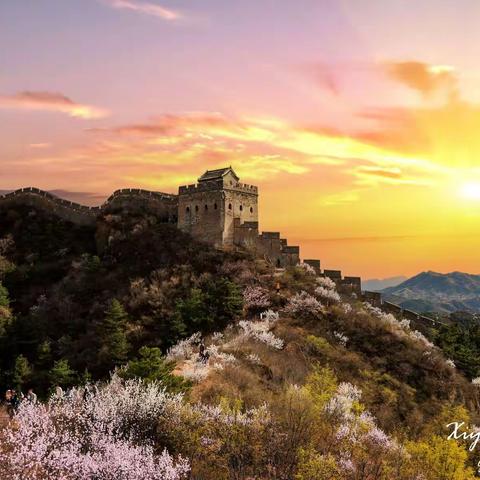 美丽的金山岭