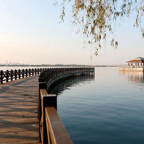 住在阳澄湖边上是什么感觉