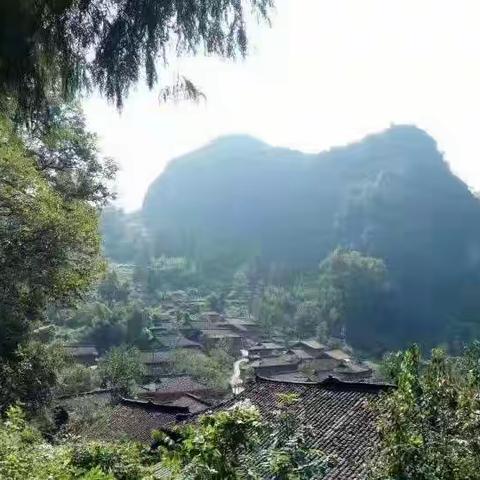 又是一年荞麦花儿开