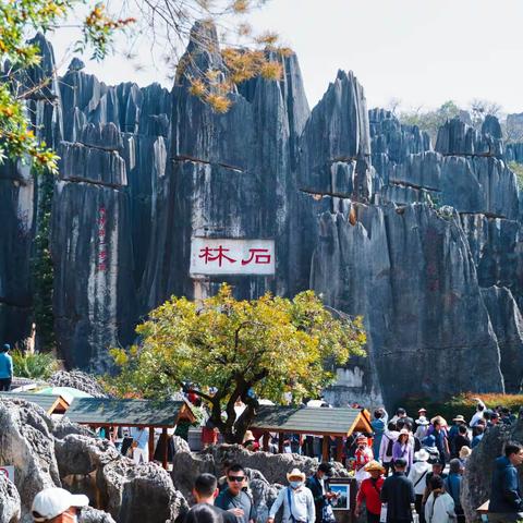 石林景区之游