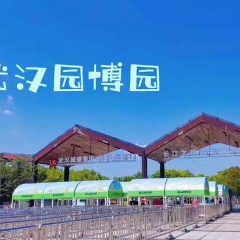 我爱祖国，共享繁荣——江夏区聋人协会“学听跟”专项活动暨庆祝第33个全国助残日活动