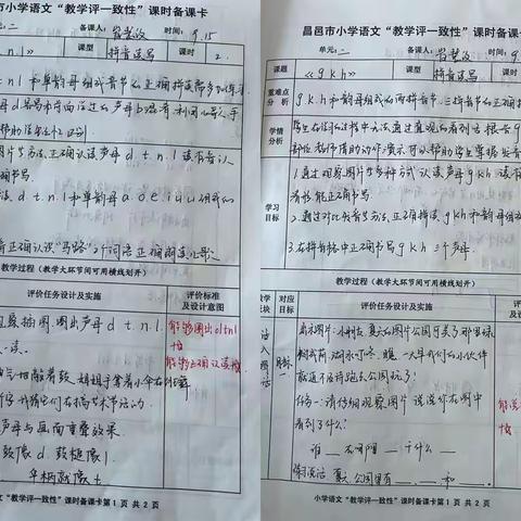 让教学常规之花在教师专业成长之路上绽放———围子小学教师常规材料检查纪实